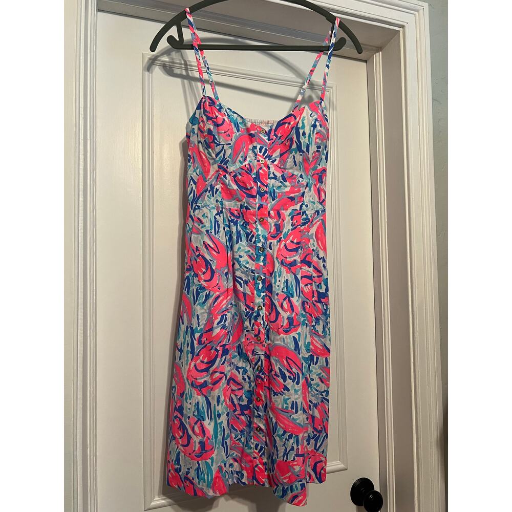 Lilly Pulitzer Dress 4